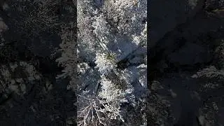 Pro's Guide to Winter Survival