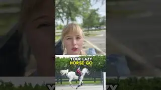 Как заставить вашу ленивую лошадь двигаться галопом быстрее, не взбрыкивая&hellip; #советыповерхности #в...