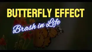 Butterfly Effect | Brash in Life | Written and Produced by Ben Brashen