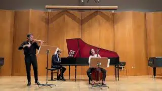 G. F. H&auml;ndel: Violin sonata in D minor (HWV 359a) 1-3