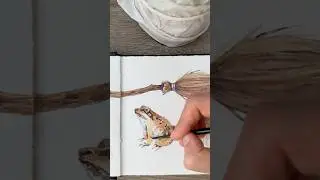 Watercolor frog in the witch sketchbook