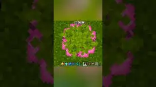 Minecraft viral tik tok hacks #minecraft #shorts #viralhacks @smart_divine part 196