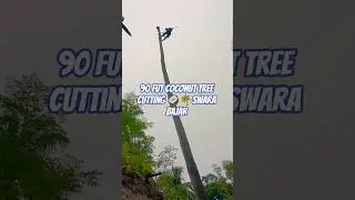90 fut coconut tree 🥥🌴 professional cutting skills and amazing