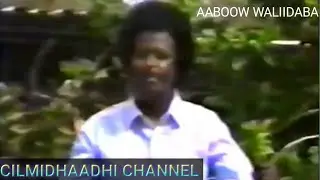 HEES LYRICS: MAXAMED CALI FURSHEED