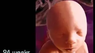 Pro-life Anti-Abortion Video Development of an Unborn Baby