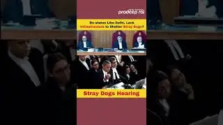 Do States Like Delhi have Infrastructure to Shelter Dogs? || SC Hears Dog Lovers in #straydogscase