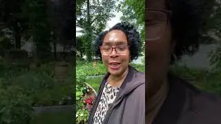 Updating the garden beds/ Catherine&rsquo;s Garden & Home LWS &trade; is live!