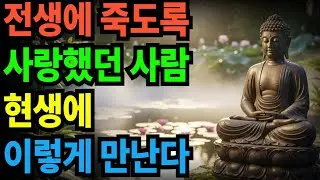 전생에 죽도록 사랑했던 사람 현생에 이렇게 만난다
