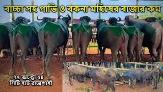 আজ ২৭ অক্টোবর রবিবার | পাড়ি গাভিন ও বাচ্চা সহ গাভি মহিষের দাম |  সিটি হাট রাজশাহী