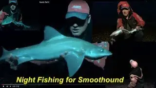 These Hounds pulled String | Night fishing for Smoothound, Part 2