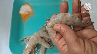 Always Remove The Black Vein From Prawns Back Before Cooking