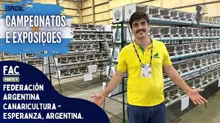 PARTE V - FAC | Campeões do Porte |Campeonato da Federação Argentina de Canaricultores 2023