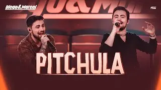 Diego e Marcel - Pitchula (Clipe Oficial)