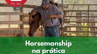 LIVE Horsemanship na prática