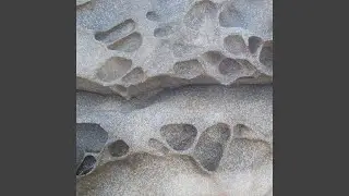Between Visible Things