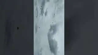 Parashooters