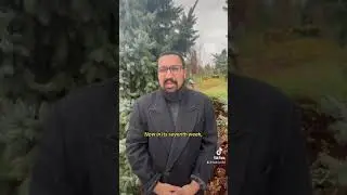 BREAKING! Israel and Hamas agree to 4 day cease fire! #shorts