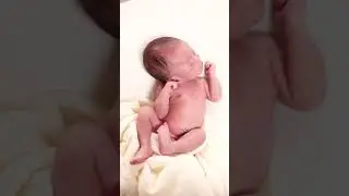 Baby Boy Photoshoot for the First Time