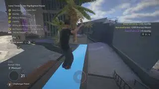 Manual Reversion SKATE4