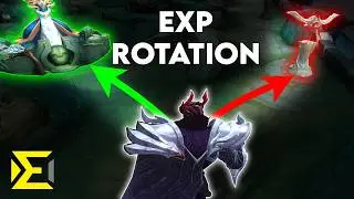 I Studied Exp Lane Macro so You Don't Have to