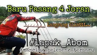Masih Mancing Beleseng Terbaru//Lapak Abom Sa Ar Cililin.@ianmarcelladventure
