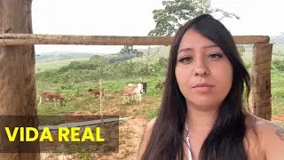 2 meses no sítio do zero — desafios reais