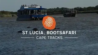 St Lucia, bootsafari