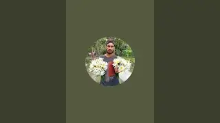 গ্রাম বাংলার ঐতিহ্যবাহী সেই কাঁচি খোচাচিতেই পিঠা