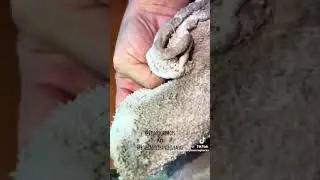 Floor cleaner's hacks for terracotta tile