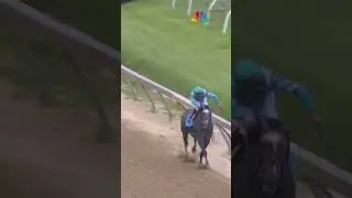 AN ELECTRIFYING FINISH AT THE PREAKNESS 🤯🏇