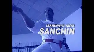 #MRkarate &trade; Mike Reeves Isshinryu Kata #6 SANCHIN #isshinryukata #karate #martialarts #shorts