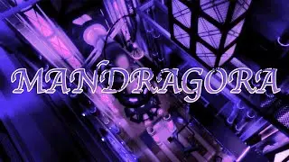 Octane's Middle Sister || TRIA.os | Mandragora [DIVINE] by Alex28901