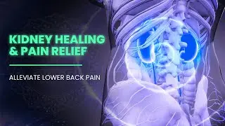 Kidney Healing & Pain Relief  - 741 Hz + 174 Hz - Detox Toxins -  Alleviate Lower Back Pain