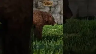 Dire Bear Vs Thylacoleo | Ark Survival Evolved | Ark Battles | Ark Game