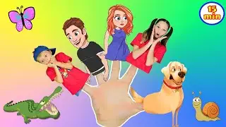 Finger Family + If You`re Happy + MORE Classic Nursery Rhymes &  Kids Songs #toddlersongs