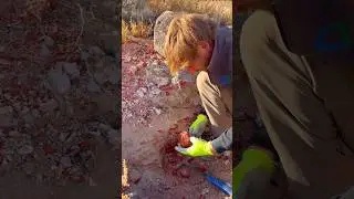 The worlds best location for gem quality chalcedony is Gem Field. &ldquo;2 miles from Goldfield, Nevada!&rdquo;