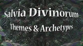 Salvia Divinorum - Themes & Archetypes