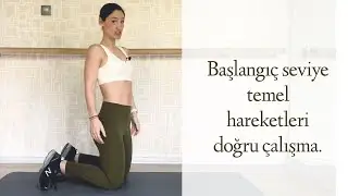 Başlangıç seviye evde egzersiz.