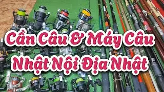 VD 1560:Cần Câu Và Máy Câu Nội Địa Nhật🔥Cần Cắm Gốc #KINGTON Khoen Síc🔥Cần Lục Carbon #KISU 3m6 BX🔥