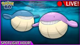 ✨️Wailmer Spotlight Hour✨️