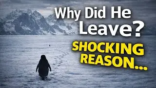 The Real Story Behind the Viral Penguin Walked to Mountain