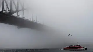 Low visibility warnings as dense fog blankets Sydney