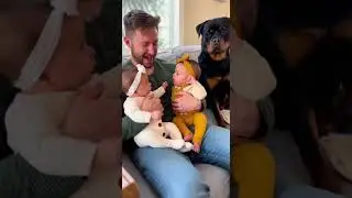 😳 They Were Fighting&hellip; Then the Dog Spoke