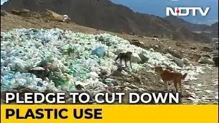 India Becomes The Global Host For World Environment Day