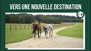 QUOTIDIENNE #4 : Soins pour Contendra, départ pour Fabiola