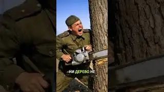 Для Чего Сталин Уничтожал Кусты На Этой Трассе #shorts