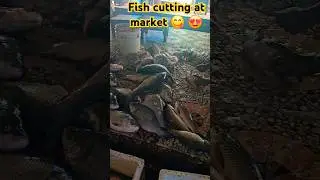 #fish #viral Raw Fish cutting #shortsfeed #fish cutting market #viral #food#shorts