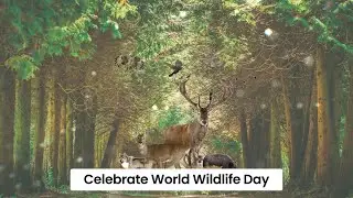 Wild About Wildlife Month