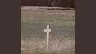 Dirt