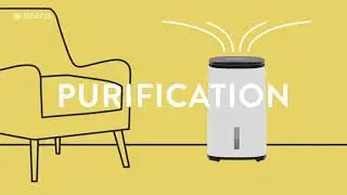 Arete&reg; One 20L and 25L Dehumidifier and Air Purifier: Official introduction | Meaco